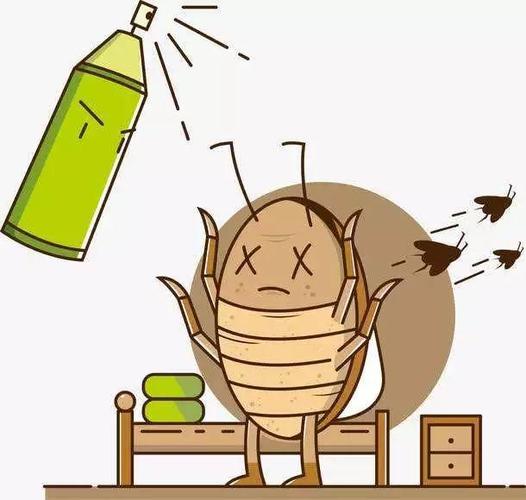 九成人不晓得蟑螂天敌是啥屋内放些它蟑螂集体不见了